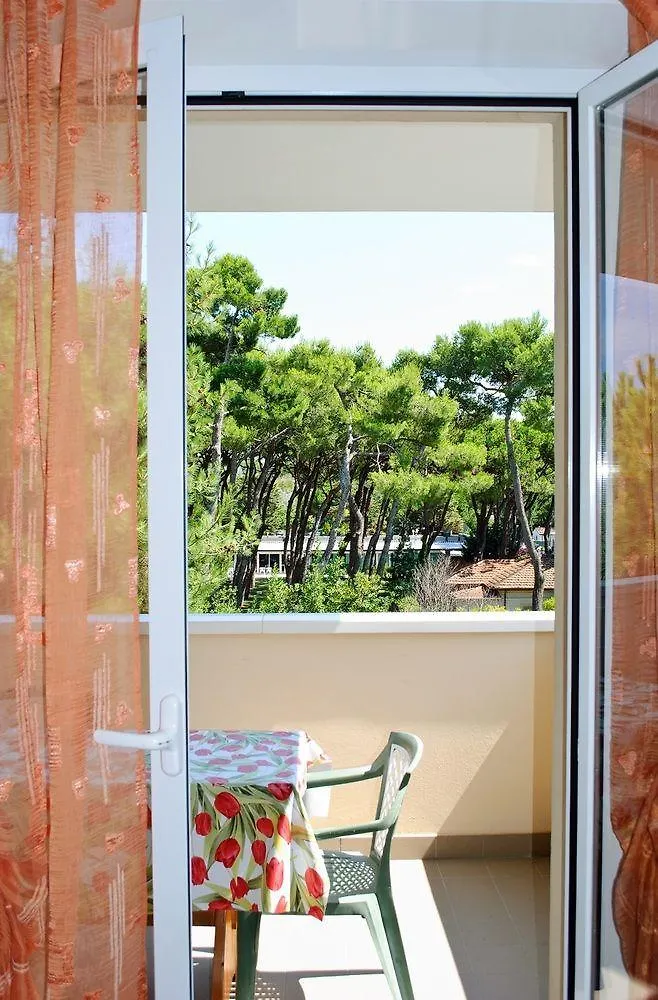 公寓 Family Residence Nuova Orchidea 里乔内